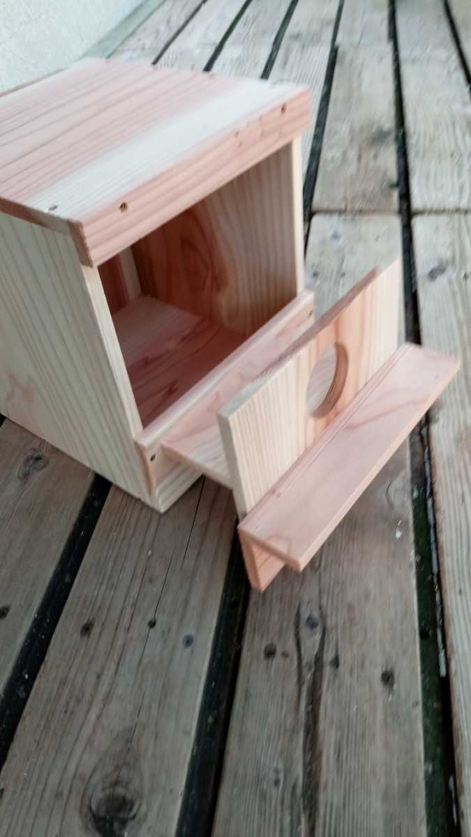 * medium sized parakeet. nest box *