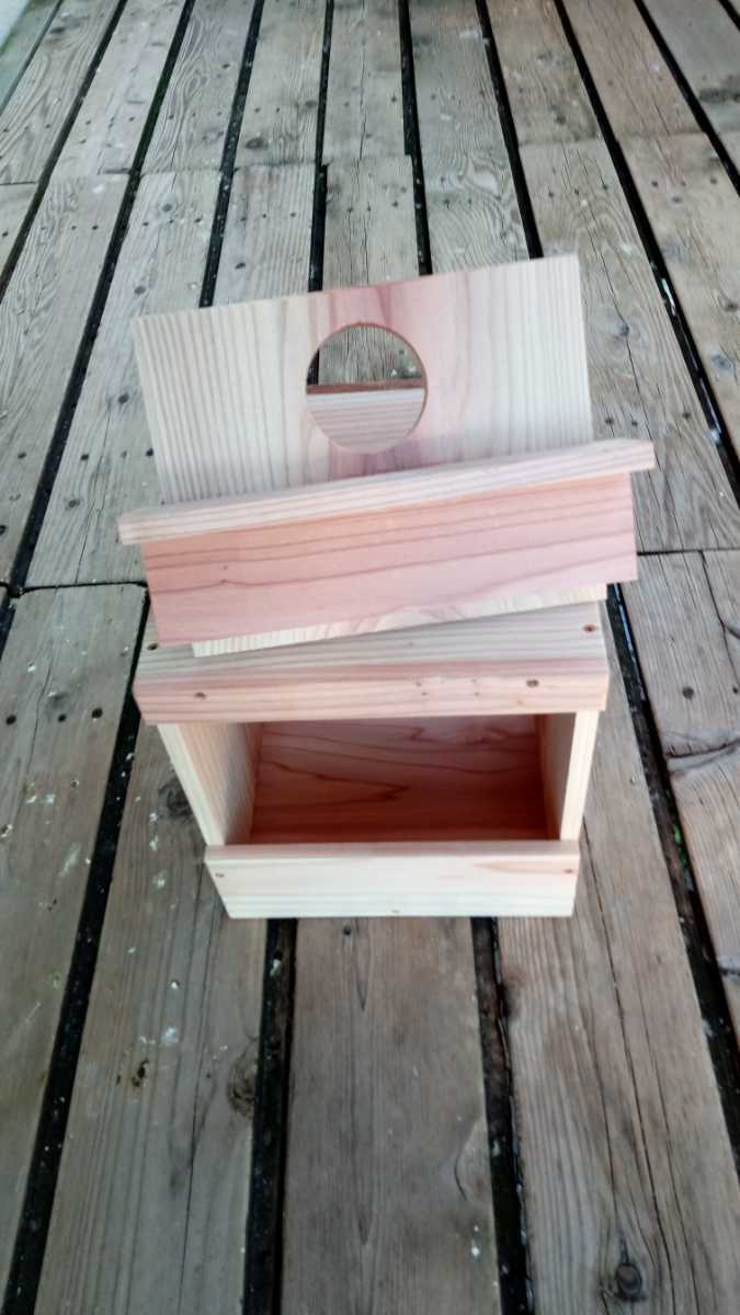 * medium sized parakeet. nest box *