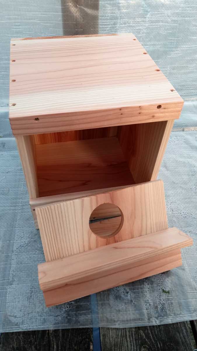 * medium sized parakeet. nest box *