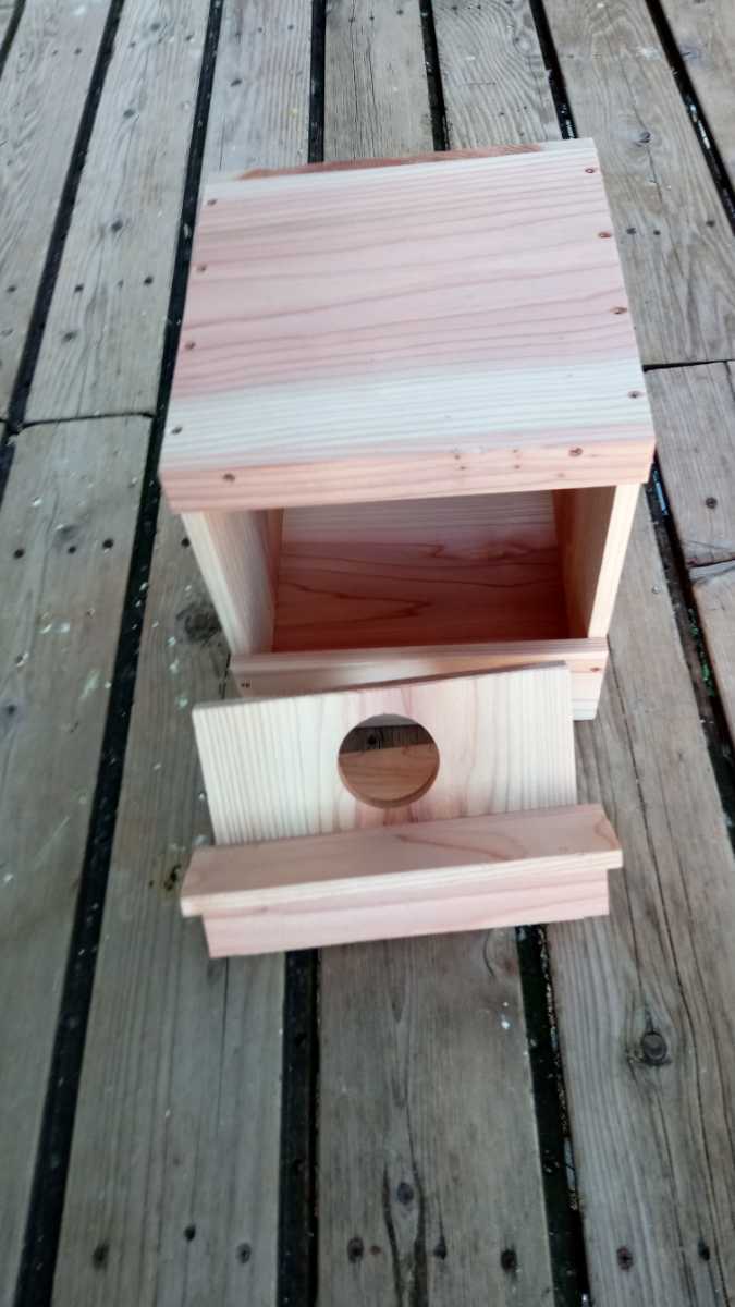 * medium sized parakeet. nest box *