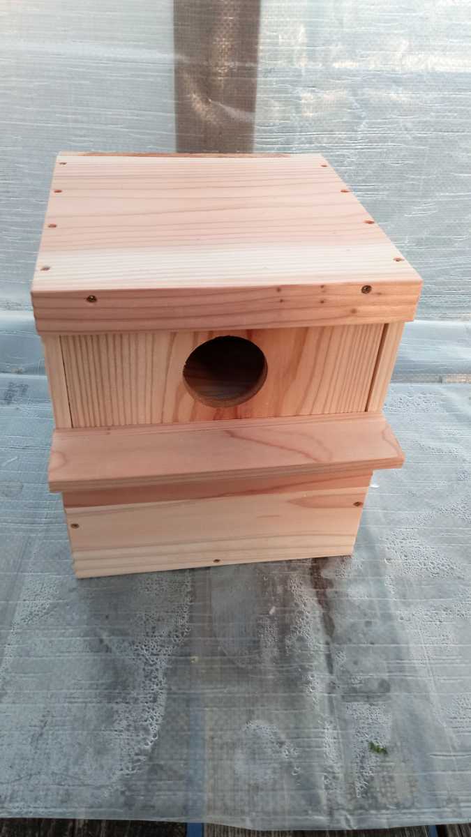 * medium sized parakeet. nest box *