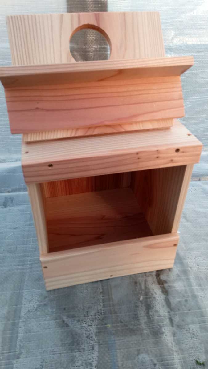 * medium sized parakeet. nest box *