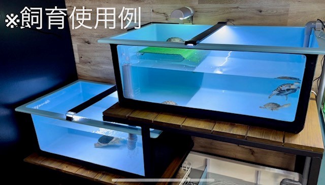 FRP水槽 アクリル窓付き 900×515×350 軽くて丈夫 黒色 小型 FRP水槽 アクリル窓付き 900×515×350 軽くて丈夫 黒色 小型