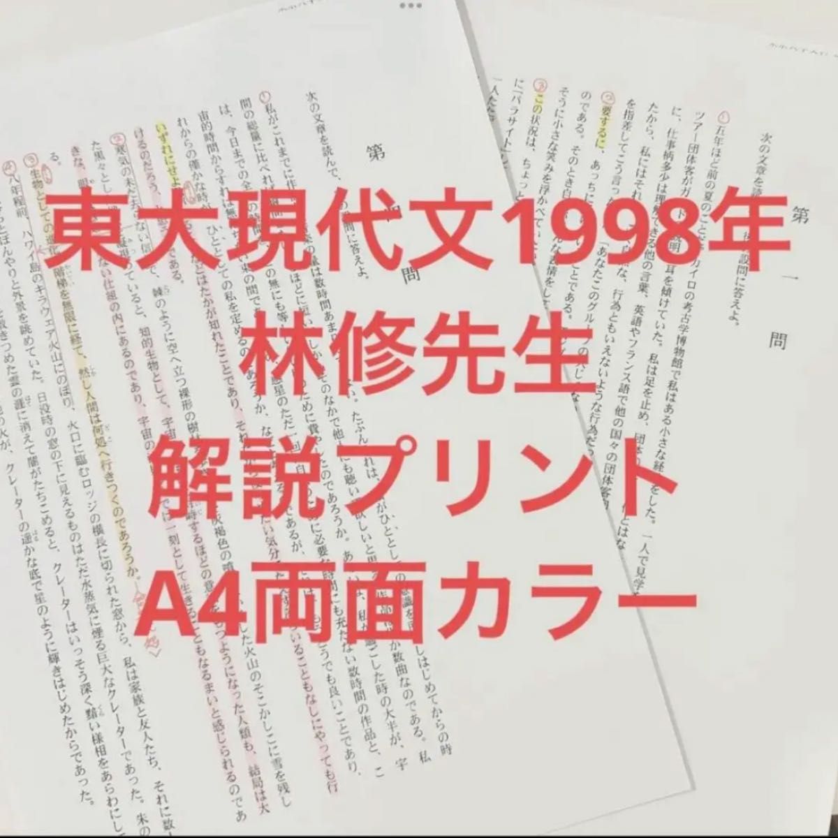 東大現代文1998年 林修先生 解説プリント A4両面カラー