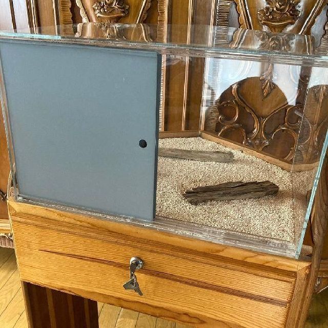 ≫ヴィンテージ*無垢 ウッド 鍵付き ショーケース*店舗什器