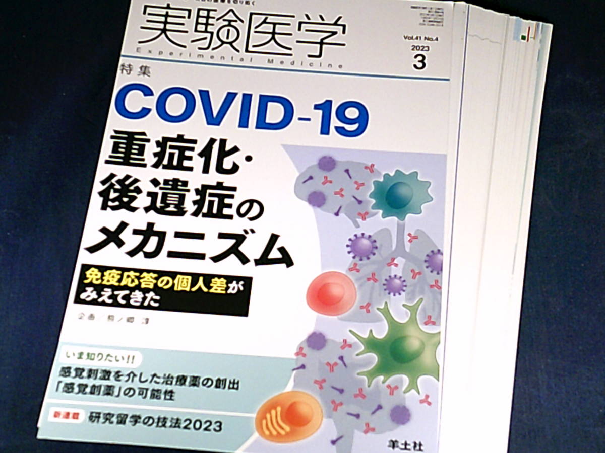 【裁断済】実験医学 2023年3月 Vol.41 No.4 COVID-19重症化・後遺症のメカニズム【送料込】_画像2