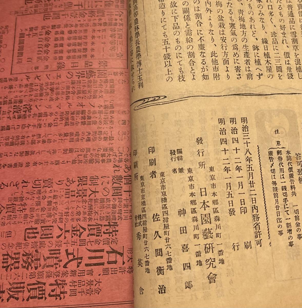12冊 園芸之友 明治42年〜 園芸の友 日本園芸研究会 12冊 園芸之友 明治42年〜 園芸の友 日本園芸研究会