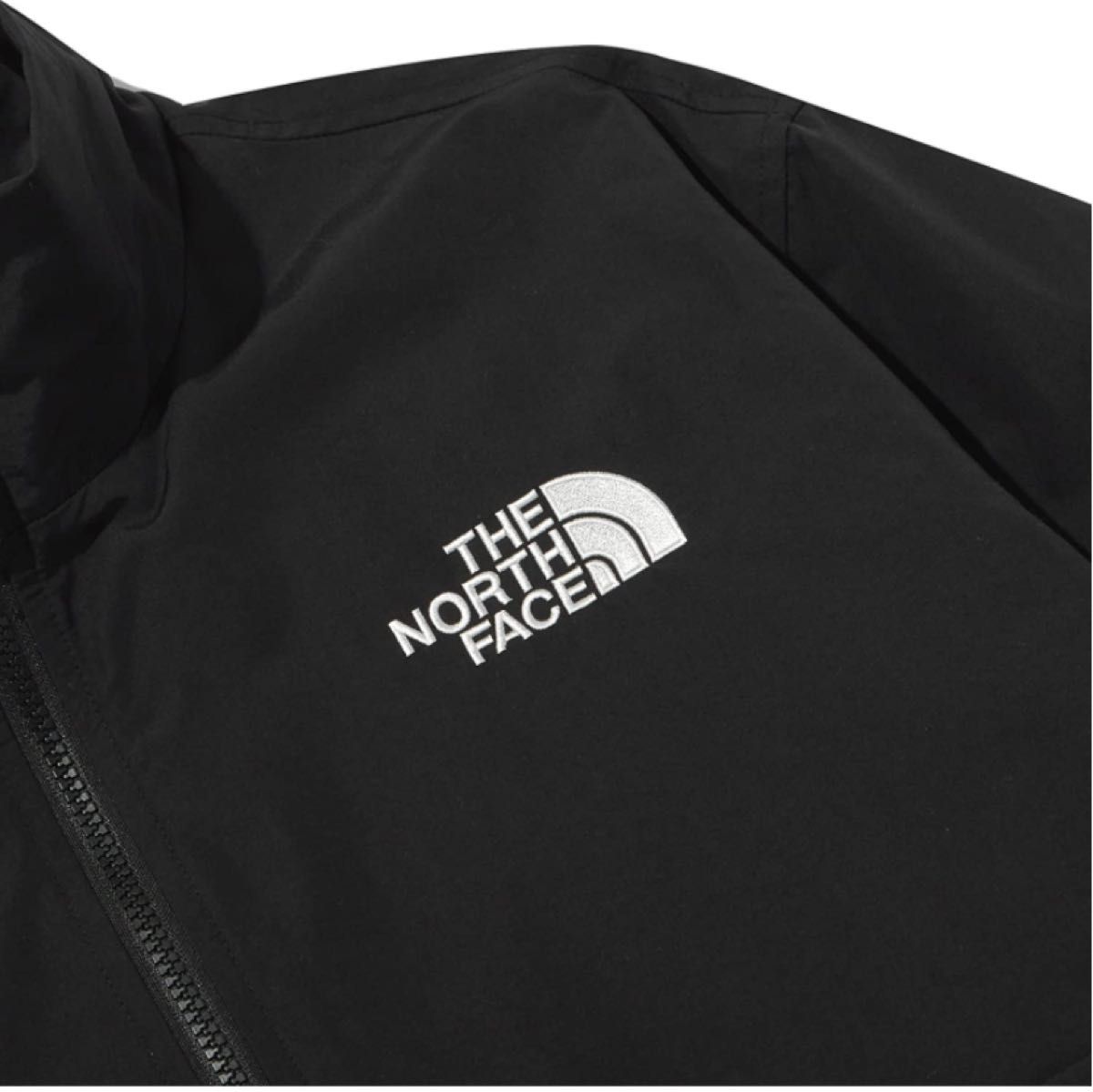 日本未発売 THE NORTH FACE ハーフジップ アノラック 全天候型 ナイロンジャケット JACKET