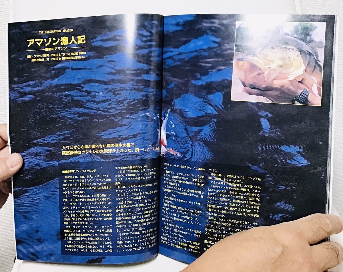 アクアマガジン 第27号 1995 AUTUMN ⑮　不可思議大陸 アマゾニア Ⅳ アマゾニア 八景 アマゾニア 漁人記 ナマズ 大陸 ア_画像3