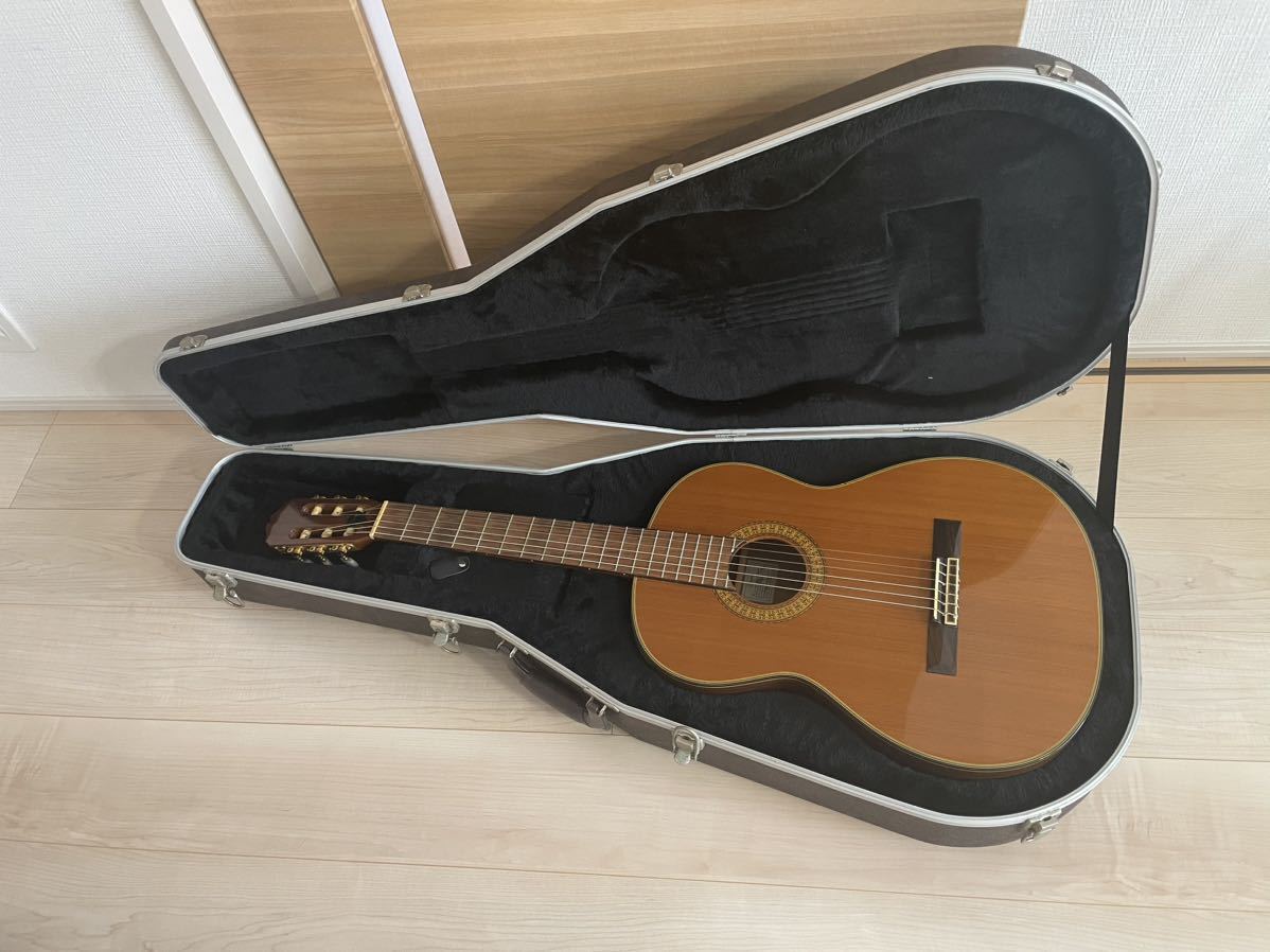 人気新品 Takamine アコースティックギター アコースティックギター