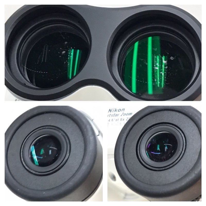 高品質定番 Nikon ニコン Sportstar Zoom 8-24×25(ホワイト) 双眼鏡