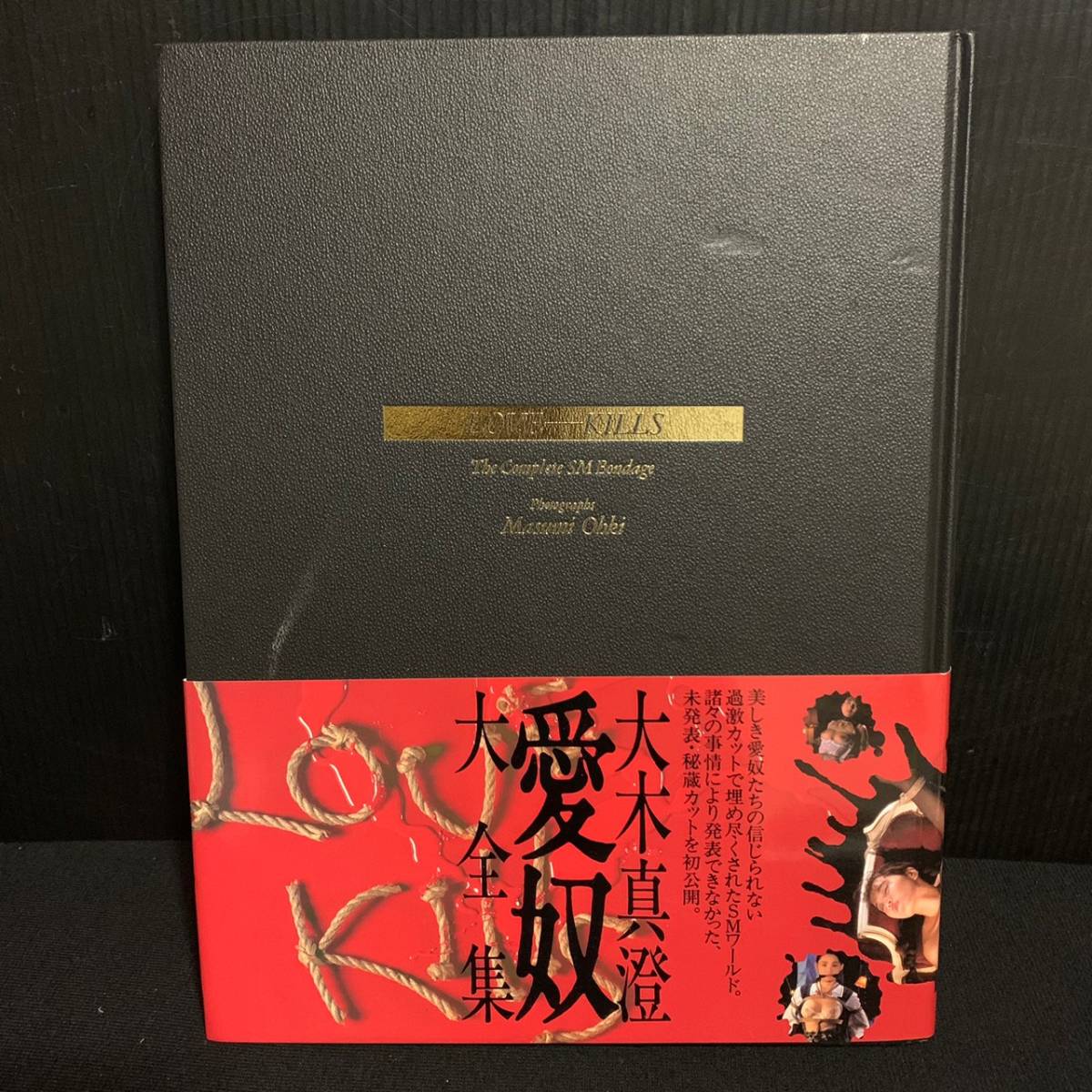 MTG アガサの魂の大釜 拡張Foil 366 MTG アガサの魂の大釜 拡張Foil 366