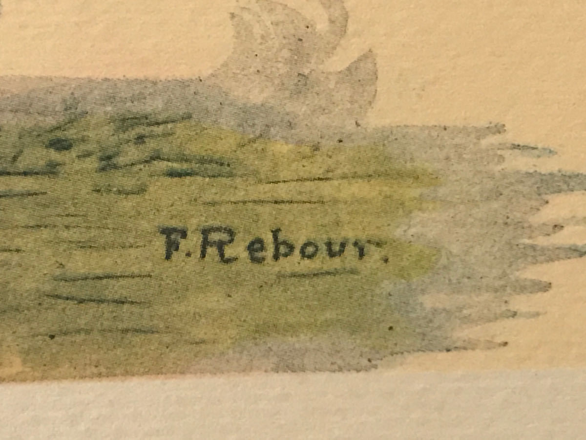Francioque Rebour(フランス1842-?) THE HURDLE 石版 掘り込みサインあり Ca 1920 フランスより入手_画像2