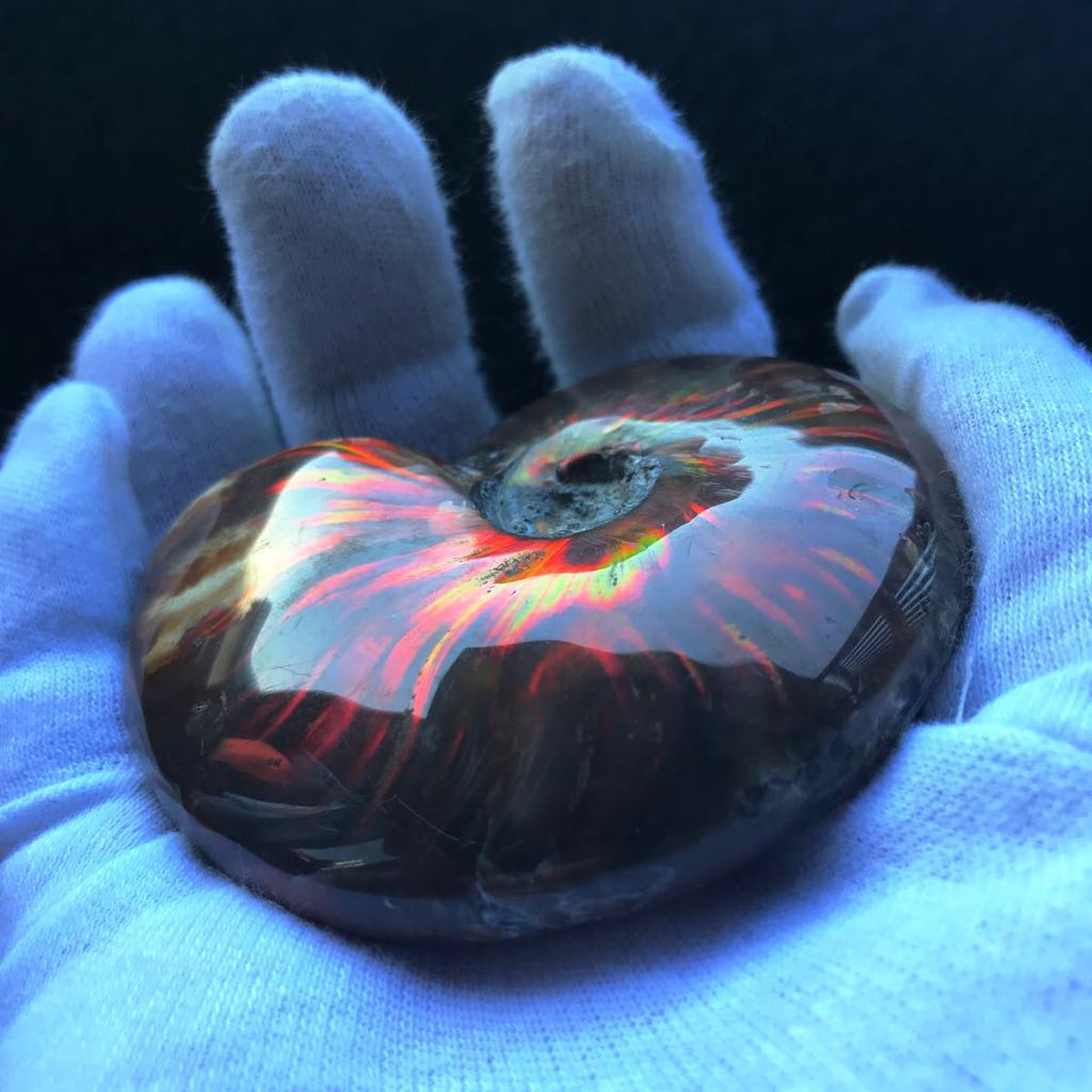  excellent article! large -ply thickness 119g opal . Anne mo Night fossil burn sama . red . variegated departure color . feature .. rainbow color . color madaga Skull production shining burnishing 