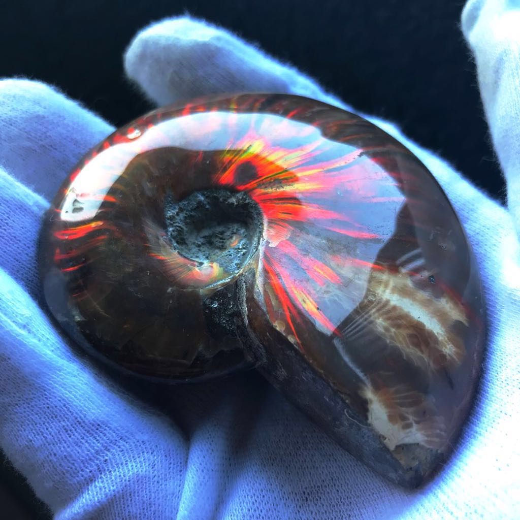  excellent article! large -ply thickness 119g opal . Anne mo Night fossil burn sama . red . variegated departure color . feature .. rainbow color . color madaga Skull production shining burnishing 