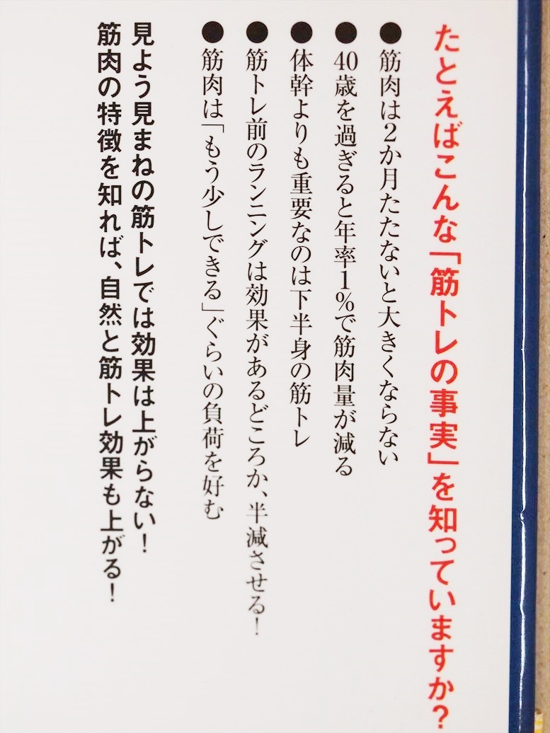 ヤフオク 送料無料 やってはいけない筋トレ アウター ヤフオク 送料無料 やってはいけない筋トレ アウター