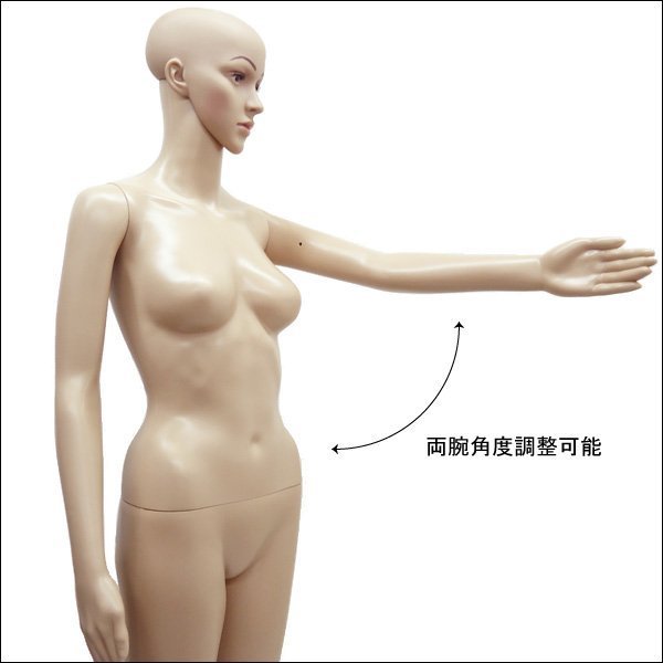  lady's mannequin [F-10] light weight whole body woman mannequin is possible to choose wig extra attaching /22