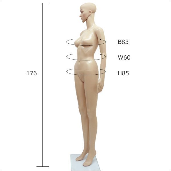  lady's mannequin [F-10] light weight whole body woman mannequin is possible to choose wig extra attaching /22