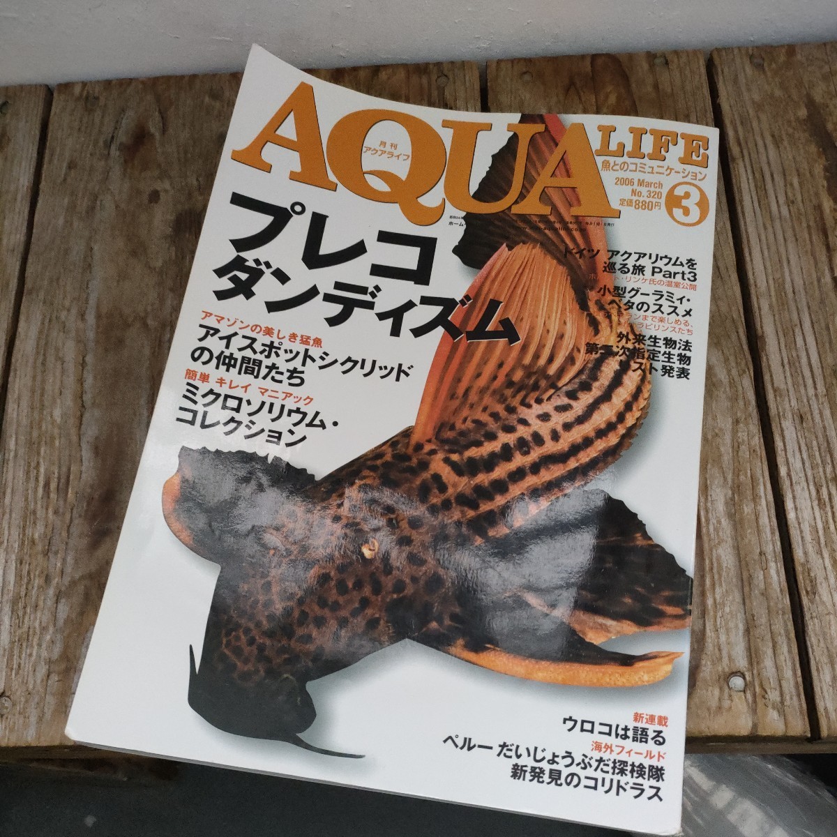 ☆月刊 アクアライフ　AQUA LIFE　2006年3月号　No.320☆_画像1