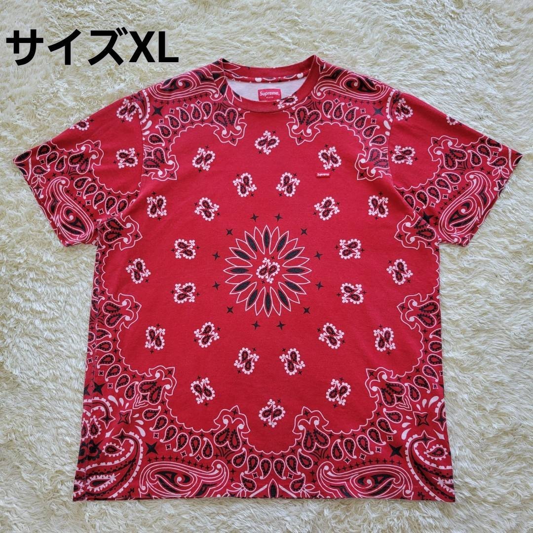 【希少XL】Supreme Small Box Tee Bandanaシュプリーム　スモール　BOXLogo　ボックスロゴ　バンダナ　ペイズリー　Tシャツ