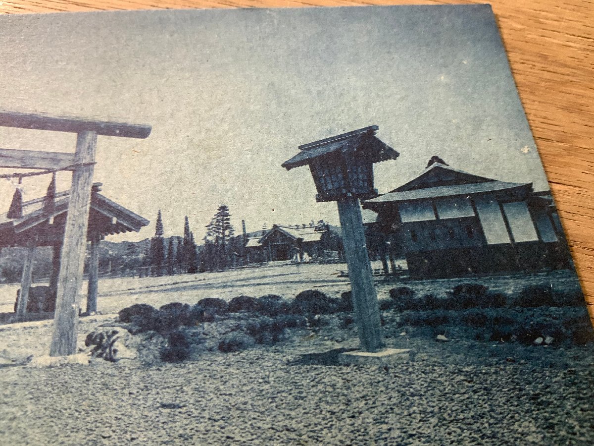 FF-3288 ■送料無料■ 長野県 信州松本 護國神社 護国神社 鳥居 神社 寺 宗教 風景 景色 戦前 レトロ 絵葉書 写真 古写真/くNAら_画像4