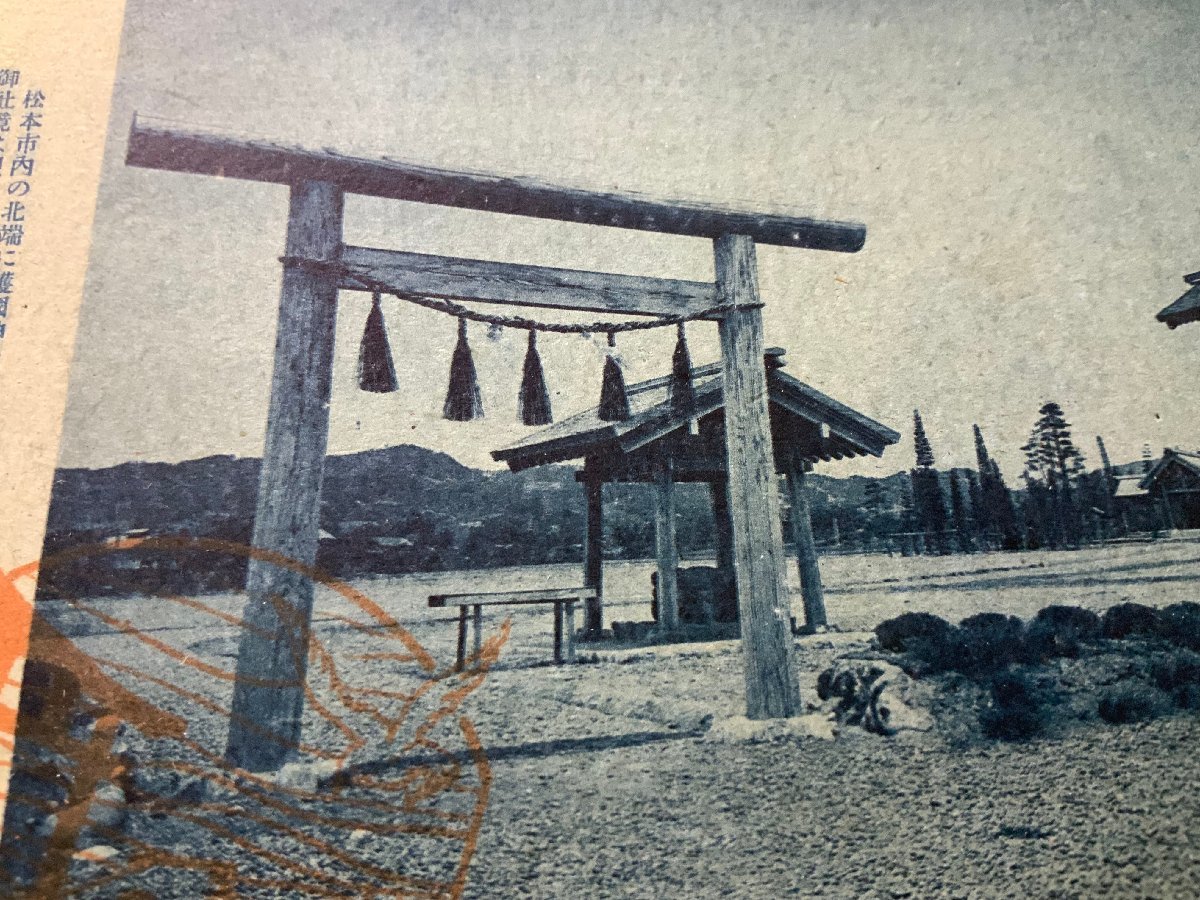 FF-3288 ■送料無料■ 長野県 信州松本 護國神社 護国神社 鳥居 神社 寺 宗教 風景 景色 戦前 レトロ 絵葉書 写真 古写真/くNAら_画像3