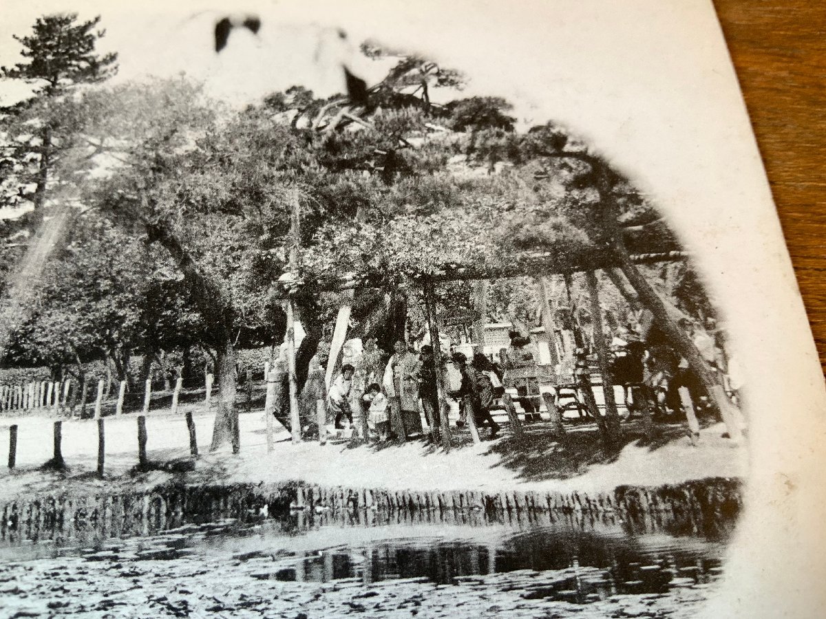 FF-3358 ■送料無料■ 新潟県 新潟白山公園 噴水 女性 池 庭園 公園 鳥居 神社 寺 宗教 和服 人 レトロ 絵葉書 写真 古葉書 古写真/くNAら_画像5