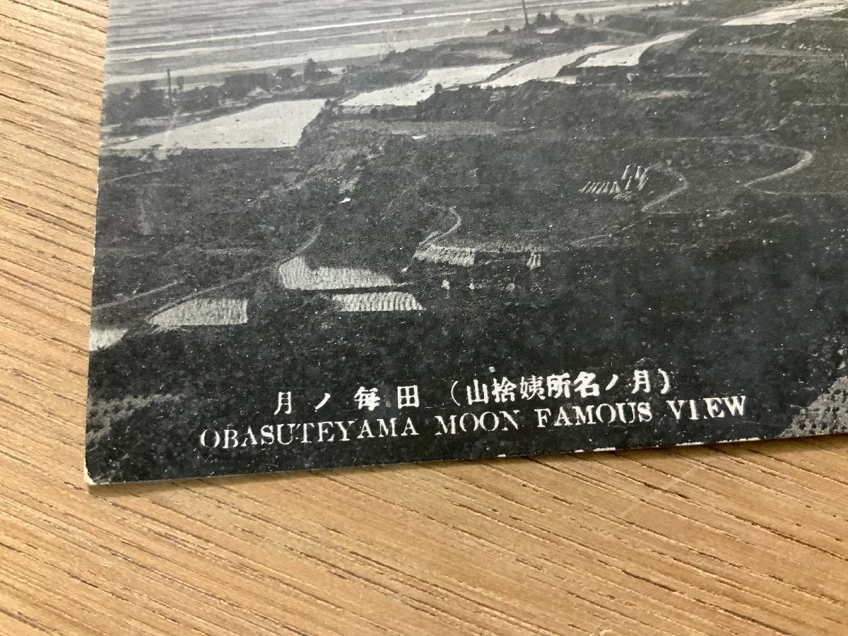 FF-3473 ■送料無料■ 長野県 信州 姨捨山 月の名所 田毎の月 風景 景色 戦前 レトロ 絵葉書 エンタイア 写真 古写真/くNAら_画像2