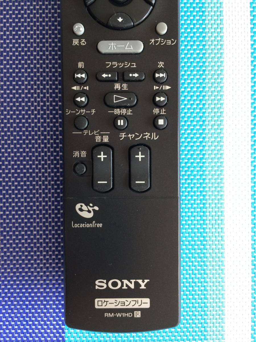25%OFF SONY ロケーションフリー LF-W1HD centralbarkdogdaycare.com.au