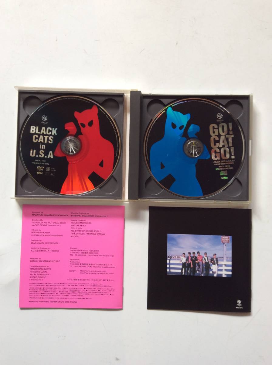 BLACK CATSブラックキャッツ/GO! CAT GO!/IN USA CREAM SODA PRESENTS/初回CD+DVD秘蔵写真集付/クリームソーダ/PINK DRAGON/ロカビリー昭和_画像4