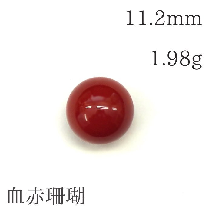 送料無料○【1点物】血赤珊瑚/珊瑚玉ルース(直径11.2mm/1.98g