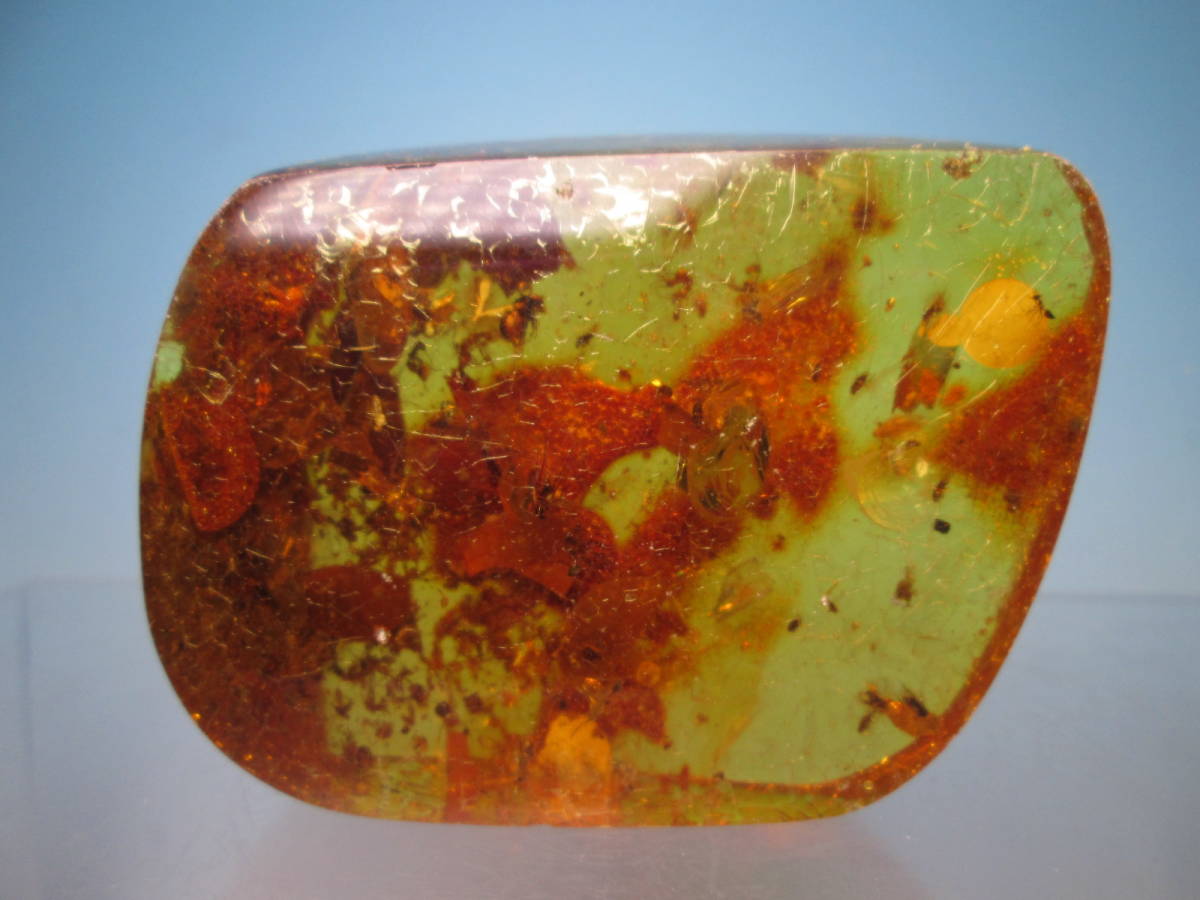 * insect entering natural amber. extra-large. loose 8cmx6,5x2,9cm 95,93g Colombia middle new .