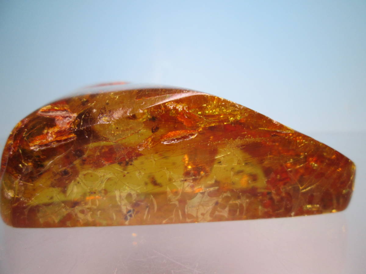 * insect entering natural amber. extra-large. loose 8cmx6,5x2,9cm 95,93g Colombia middle new .