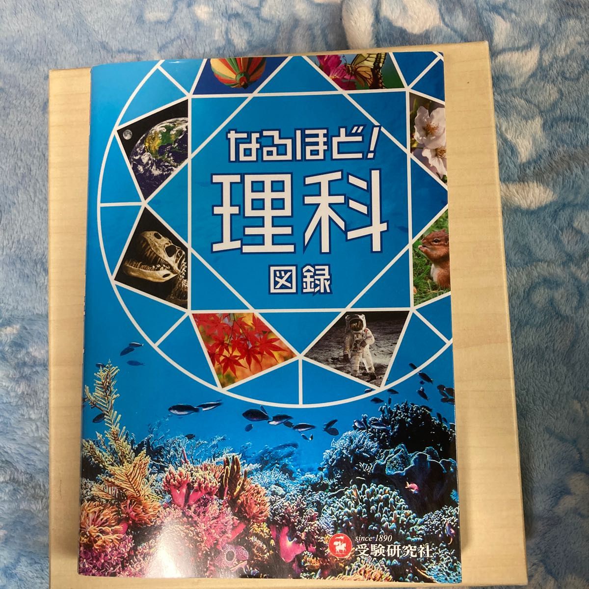 なるほど!理科図録 (自由自在Visual) ワオ・コーポレーション教育総合研究所理科チーム/編著