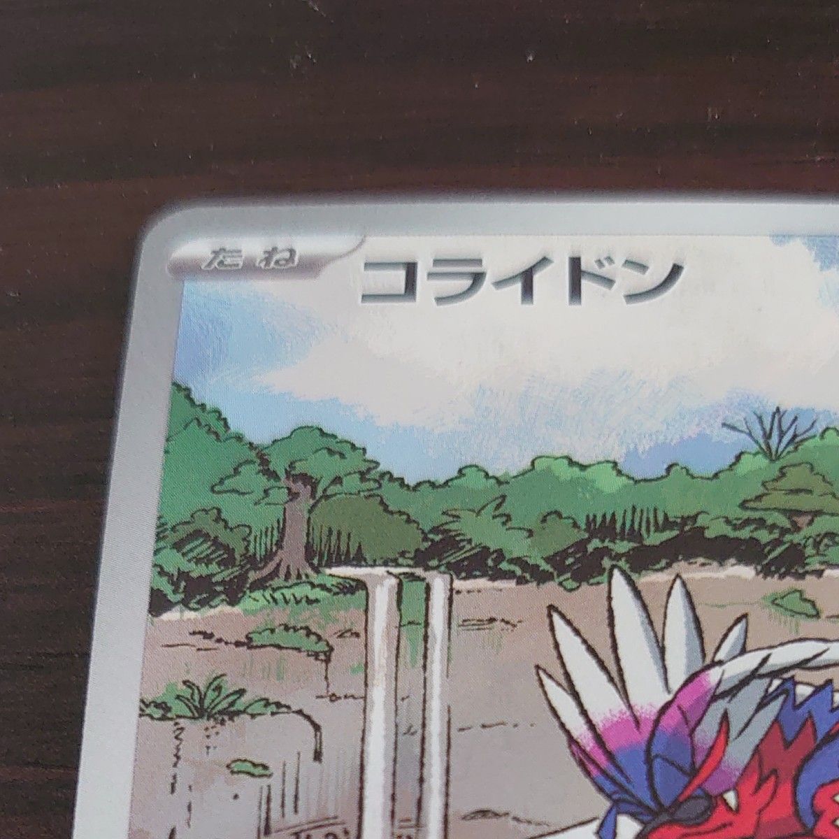 ポケモンカード コライドン 049/SV-P シールド戦 ブロモ|Yahoo ポケモンカード コライドン 049/SV-P シールド戦 ブロモ|Yahoo