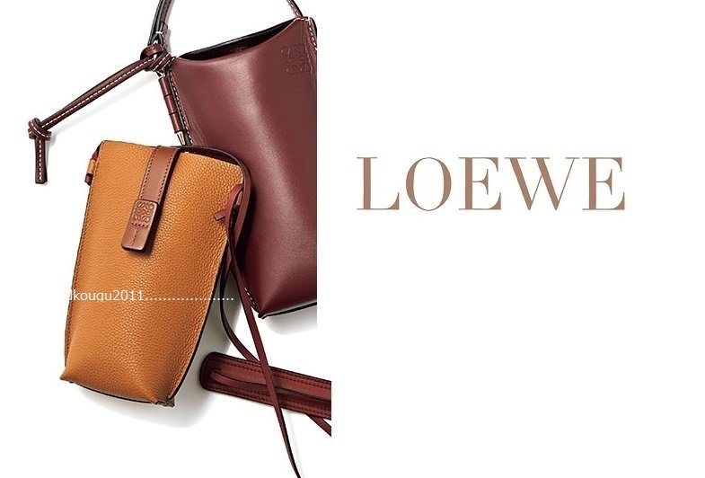  regular price approximately 9.1 ten thousand LOEWE buy /VERY DOMANI publication! Loewe pocket shoulder card inserting attaching smartphone bag pochette Cross body as good as new 