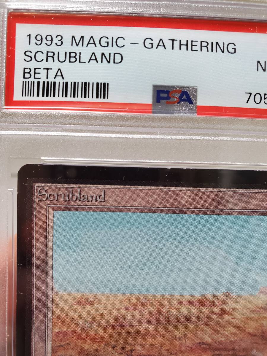 127500円 ○MTG○ β ベータ Scrubland(英語 PSA 8) - 土地 127500円 ○MTG○ β ベータ Scrubland(英語 PSA 8) - 土地