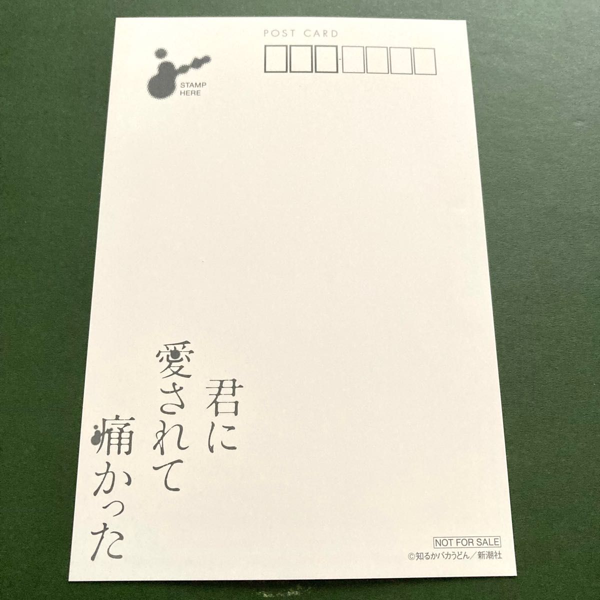 店舗特典のみ 君に愛されて痛かった 5巻書店漫画購入特典イラストポストカード 非売品 知るかバカうどん 500円送料無料匿名配送