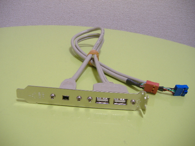 [IEEE1394 ×1,USB ×2 pin type the back side output ]