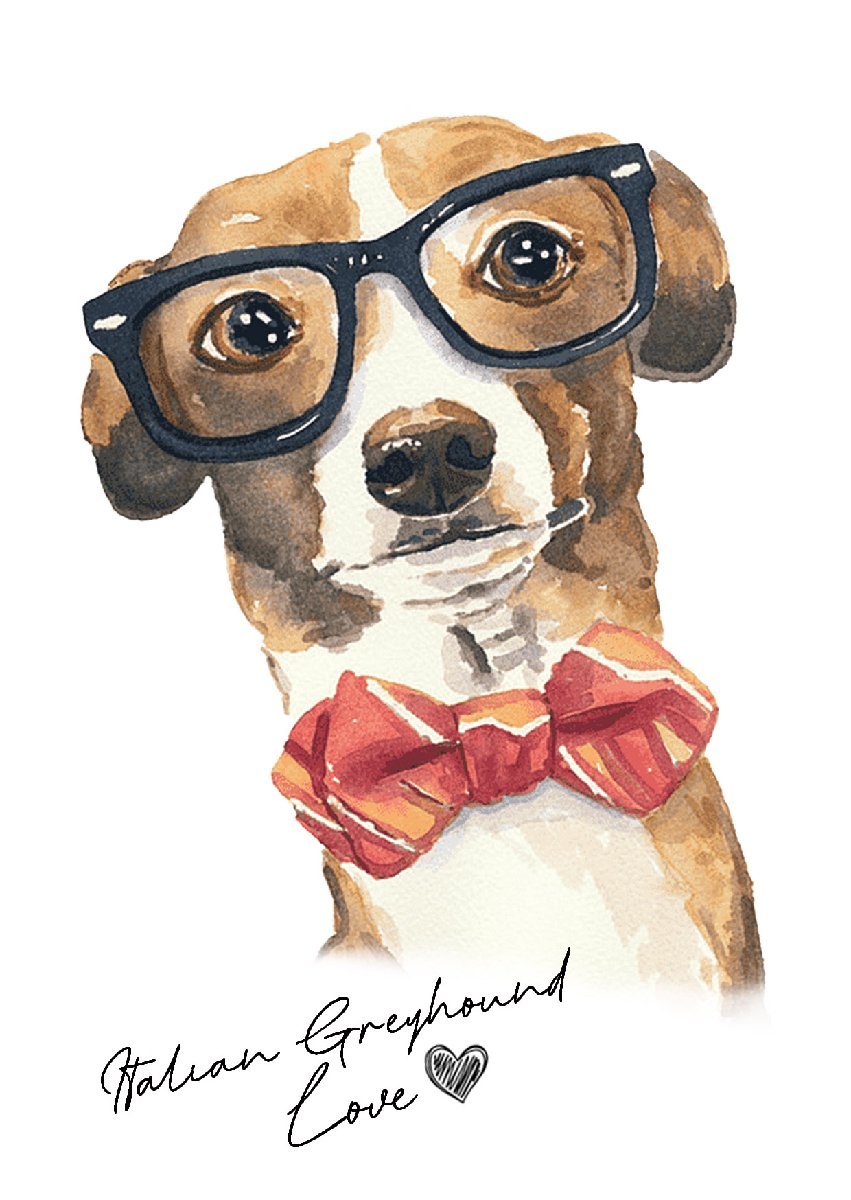  открытка [ Italian Greyhound / итальянский * серый - undo] иллюстрации искусство акварельная живопись способ пастель цвет открытка -5