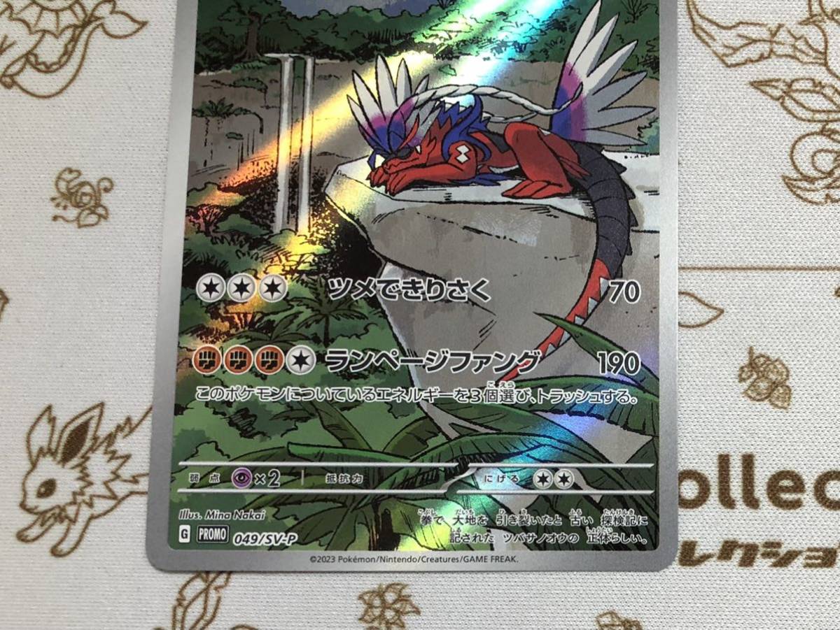 ポケモンカード ポケカ シールド戦 プロモ コライドン ポケモンカード ポケカ シールド戦 プロモ コライドン