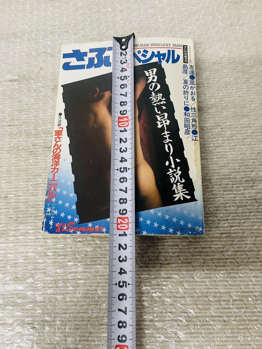 希少品 昭和レトロ さぶ S56年発行分 スペシャル|PayPayフリマ