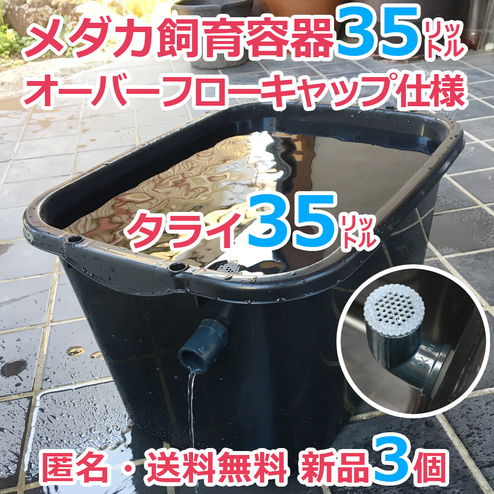 メダカ飼育容器【35㍑ 黒 3個 オーバーフローキャップ付】即決 匿名