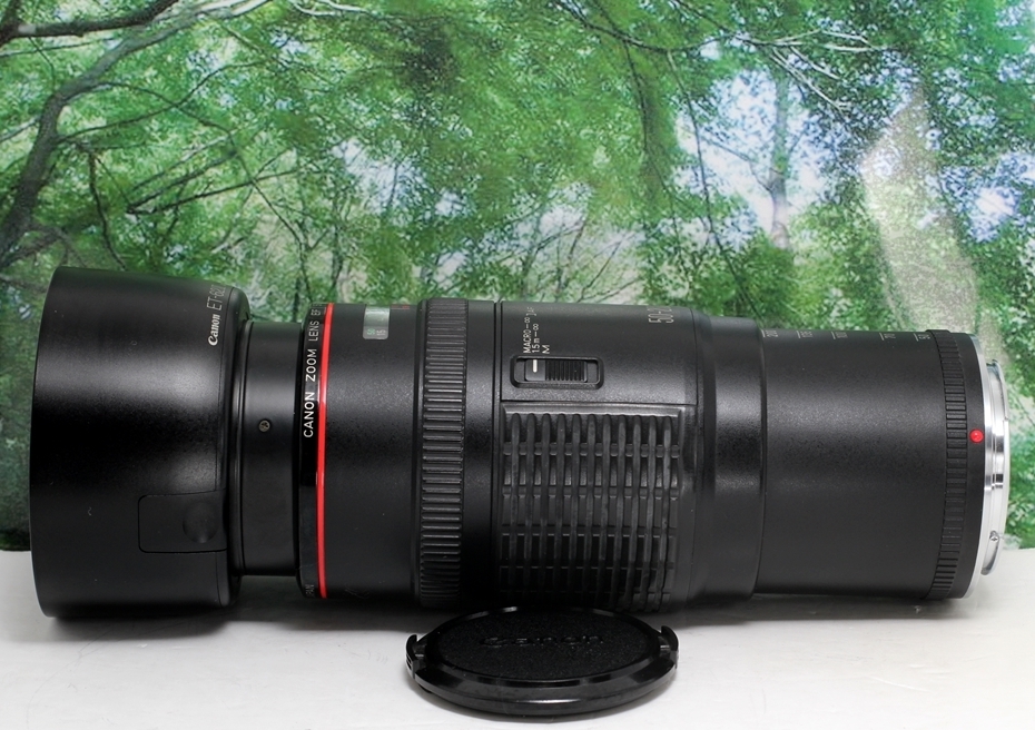 Canon キヤノン EF 50-200mm f3.5-4.5 L EFマウント 限定価格セール
