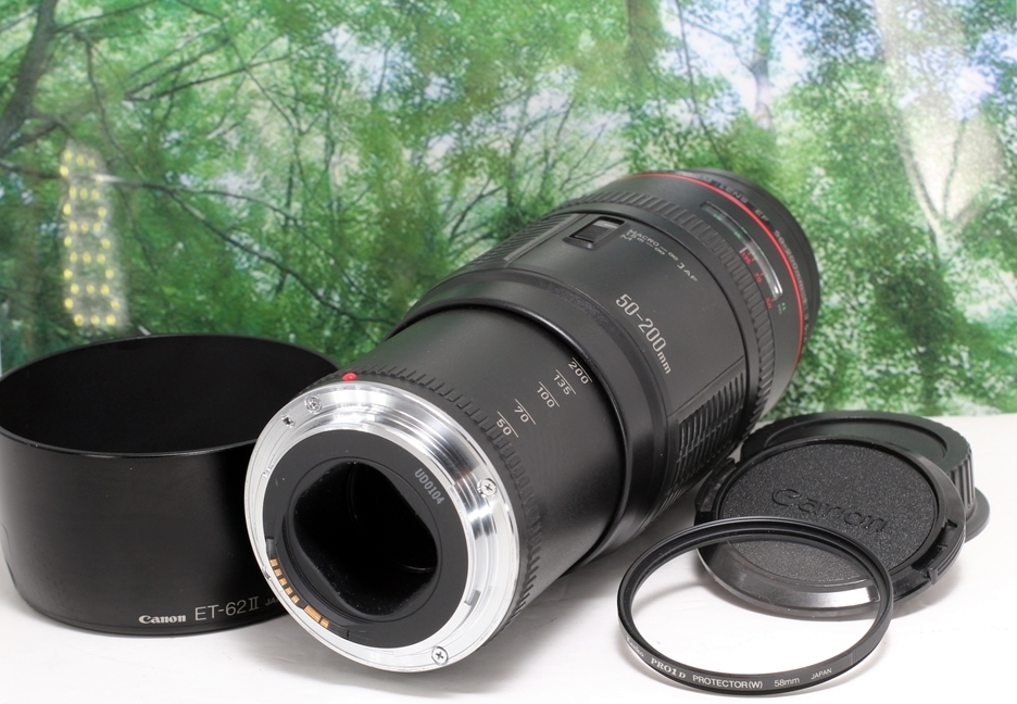 ☆超美品のLレンズ☆CANON EF 50-200mm F3.5-4.5L☆-