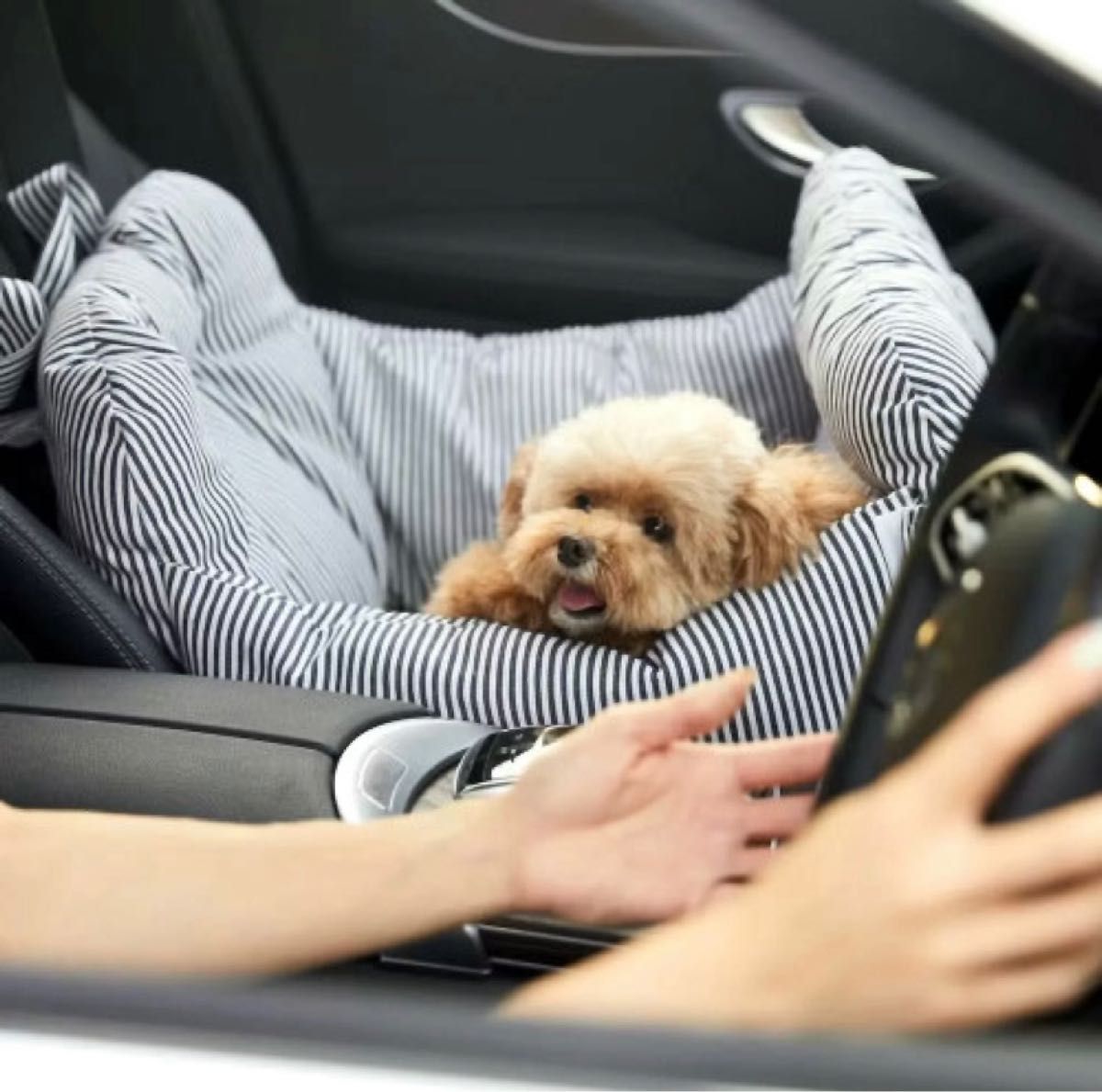 公式・特典付 新品タグ付き スヌーピー 犬用 ドライブキャリーベッド
