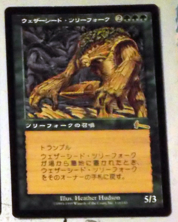 MTG/日本語/ウェザーシード・ツリーフォーク/ウルザズ
