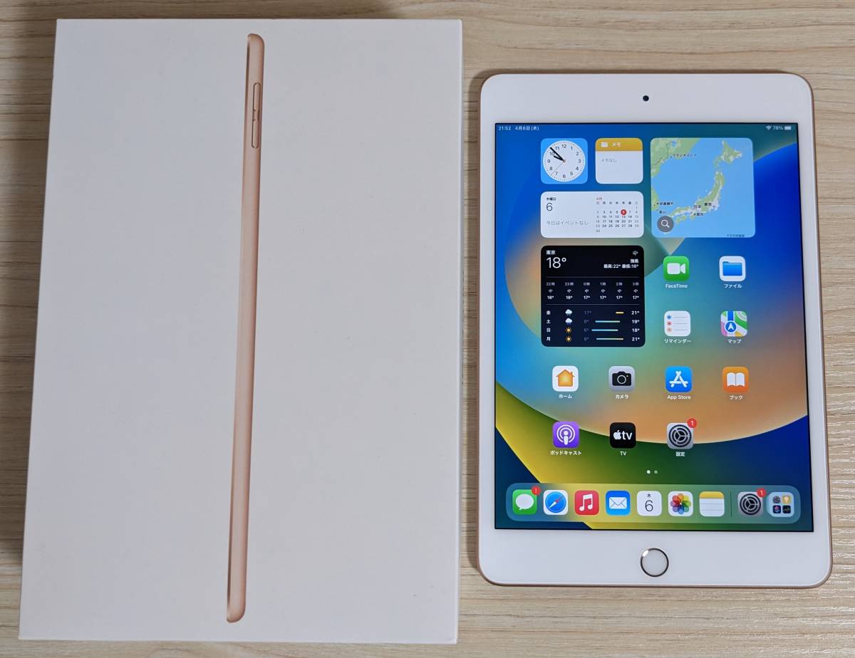 iPad mini 5 (第5世代) 256GB Wi-Fiモデル-