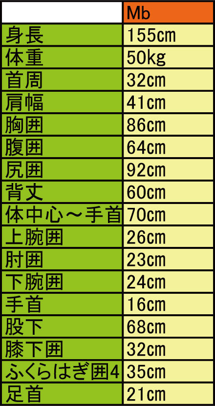 CALIFORNIAスタイル/国内生産/期間限定価格/バックジッパータイプ/クラシックスタイル/ALL3mフルスーツ/レディースMbサイズ_画像10