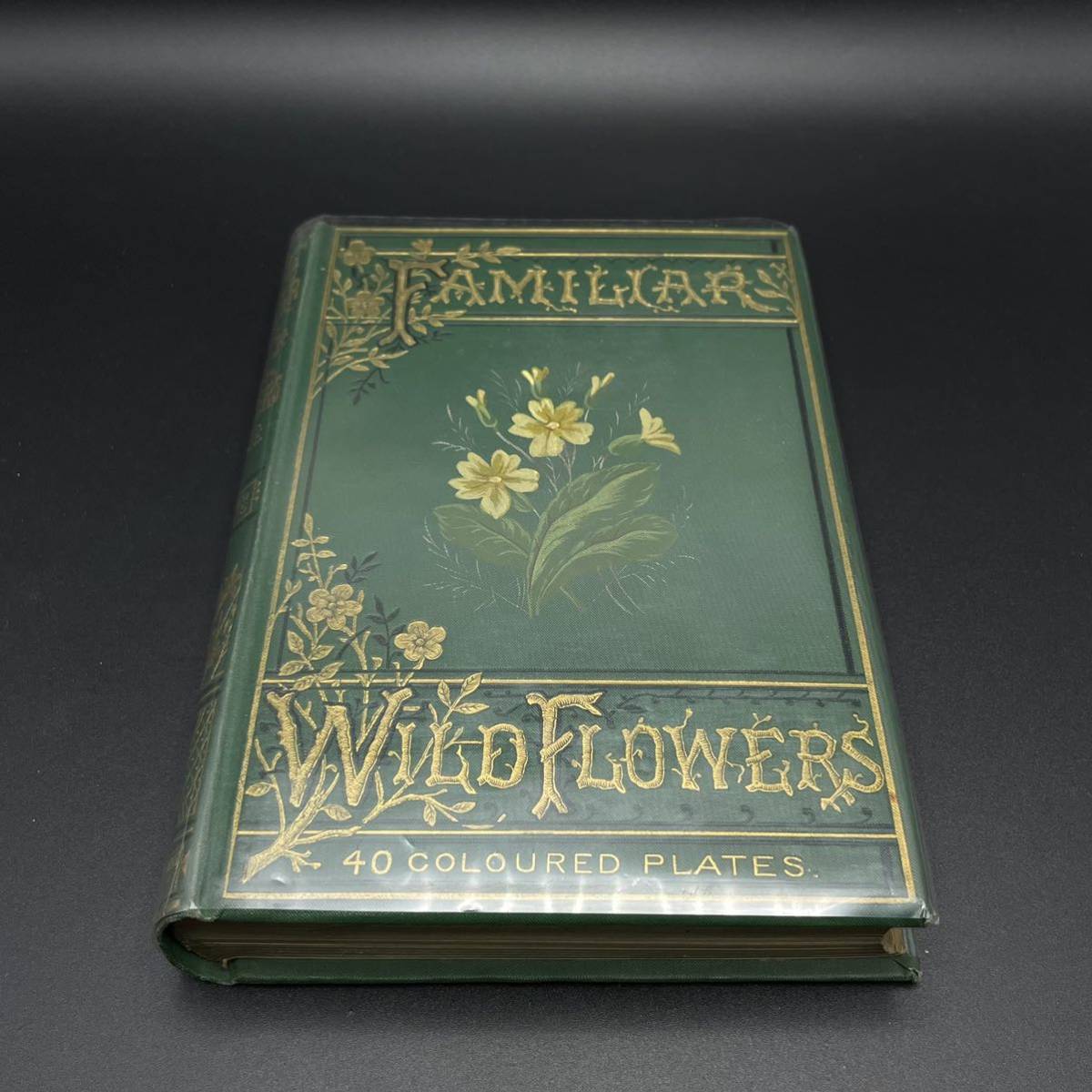 ◆1巻～5巻セット◆ 1880年頃 Familiar Wild Flowers エドワード・ヒューム著 Cassell & Co ロンドン発行 洋書 アンティークの画像3